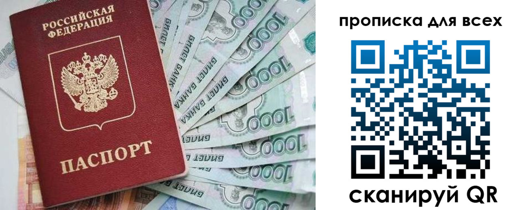 прописка гарантия в Сухиничи
